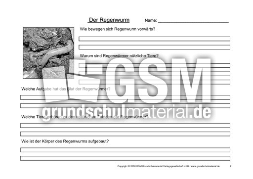 Regenwurm-Fragen-2.pdf